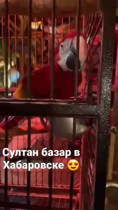 Султан базар советую вам😍😍Круто!! - YouTube