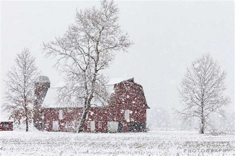 Red Barn in the Snow - Secrets of the Eastern Shore