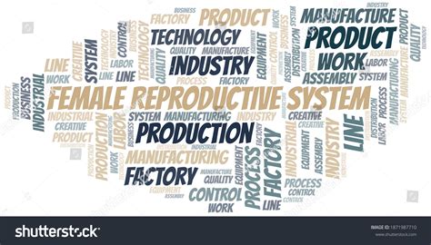 Female Reproductive System Word Cloud Create Stock Vector Royalty Free 1871987710 Shutterstock