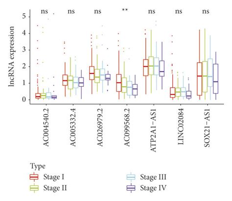 Independent Prognostic Value Of The Ferroptosis Related Lncrnas