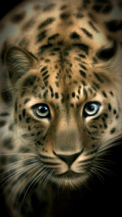 Amur Leopard Digital Art By Anna Jansson Fine Art America