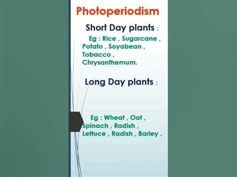 @Photoperiodism | Long day plants , short day , day neutral plants ...