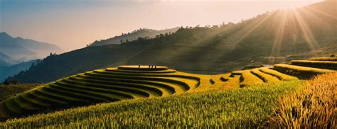 The 5 Most Beautiful Rice Terraces In Vietnam ...