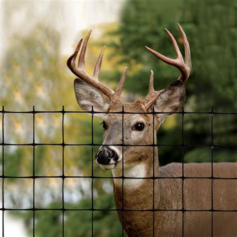 Tenax 1a120530 Deer Fence Select 8ft X 165ft Black Hsz004