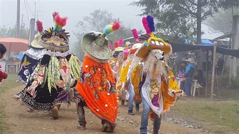 Carnaval El Sotano Ver YouTube