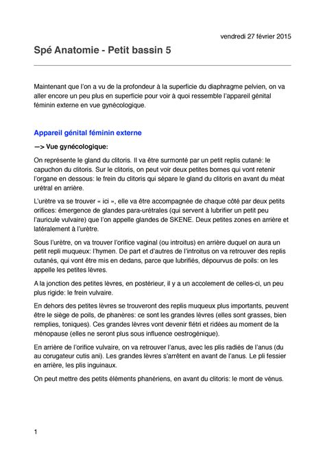 Sp Petit Bassin Vendredi F Vrier Sp Anatomie Petit