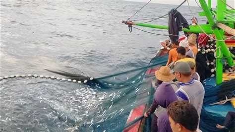 Gak Di Sangka Tangkapan Ikan Hari Ini Sungguh Diluar Dugaan Cupliz