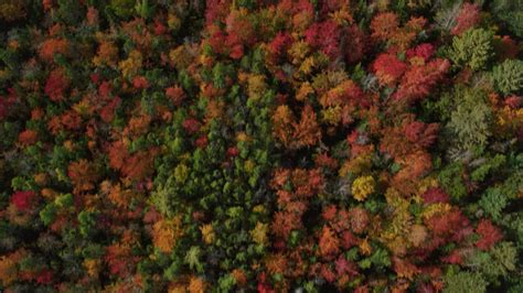 6k Stock Footage Aerial Video Of A Bird S Eye View Flying Over A