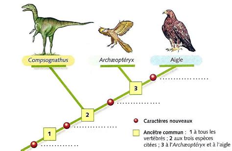 Parent Entre Les Tres Vivants Et Volution Eme