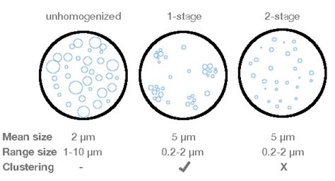 Homogenization Process Labster