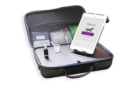 Home Stallion Ai Services