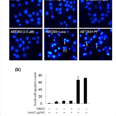 Bcl Xl Inhibition By Abt263 Enhances Lexapf Induced Apoptosis A