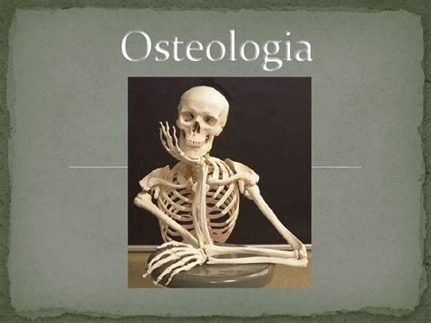 Osteologia Enfermería