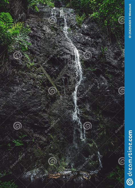 Toma Vertical De Una Hermosa Cascada Que Fluye Sobre La Roca Rodeada De