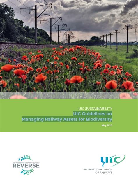 Biodiversity And Infrastructure Handbook