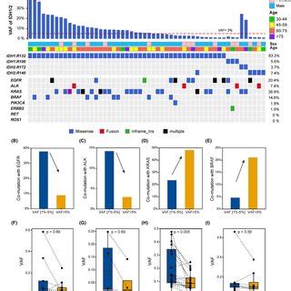 Subclonal analysis of IDH1/2 mutations. (A) Heatmap of IDH mutations ...