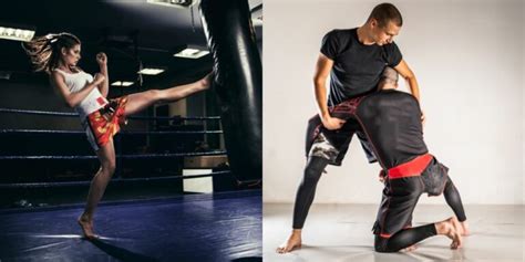 Muay Thai Vs Bjj Which Is Better Sweet Science Of Fighting