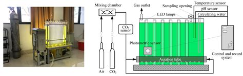 Cultivation Of Green Microalgae In Bubble Column