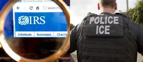 ice comparte datos al irs este podria ser el terrible efecto