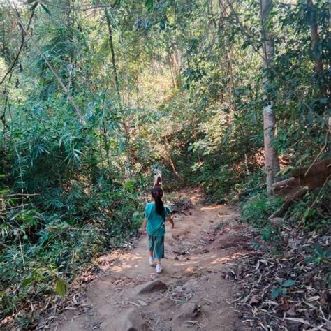 Chiang Mai Monnikspad Wat Pha Lat Bezoek Wat Doi Suthep Getyourguide