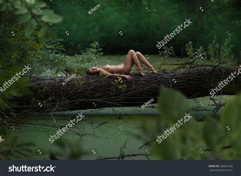 Naked Girl Lying On Tree Forest Stock Photo Shutterstock