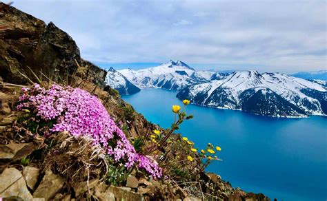 Заповедник «Остров Врангеля» - Дальний восток: TravelPoisk