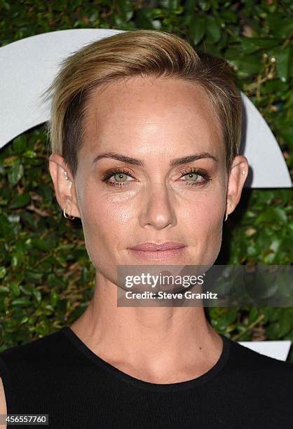 Amber Valletta 2014