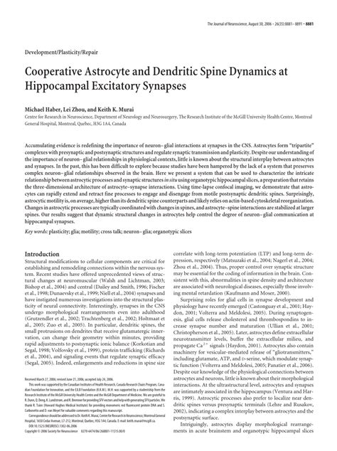 Pdf Cooperative Astrocyte And Dendritic Spine Dynamics At Hippocampal