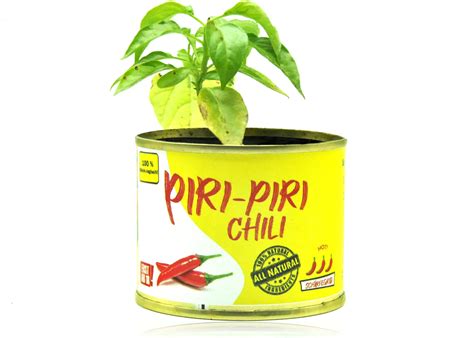 Piri Piri Blumenpaule De