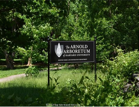 America S Oldest Public Arboretum The Arnold Arboretum In Boston