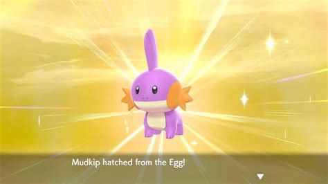 8 Shiny Mudkip In 157 Eggs Rshinypokemon