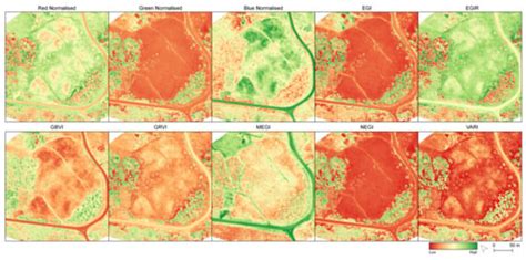 Remote Sensing Free Full Text Wildfire Burnt Area Severity