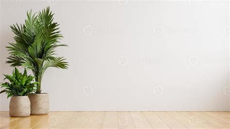 Habitación vacía de pared blanca con plantas en el suelo 4337533 Foto