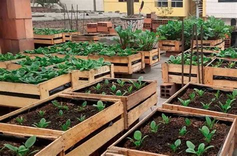 Consejos Para El Cuidado De Su Huerta O Jard N En Temporada De Lluvia