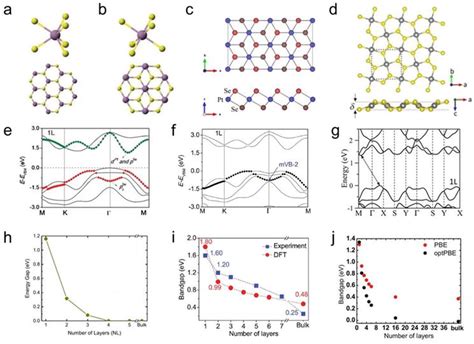 Two Dimensional Group 10 Noble Transition Metal Dichalcogenides