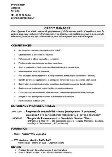 Cv Par Competences Hot Sex Picture