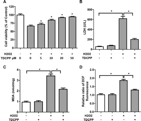 Tdcpp Alleviates H2o2 Effects On H9c2 Cell Viability Ldh Release Mda