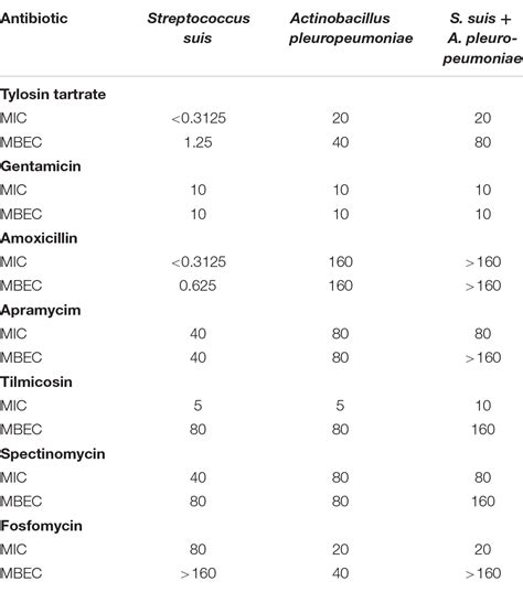 Frontiers In Vitro Mixed Biofilm Of Streptococcus Suis And