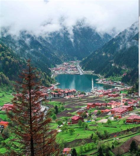 Trabzon Uzungöl Türkiye Natural landmarks Landmarks Nature