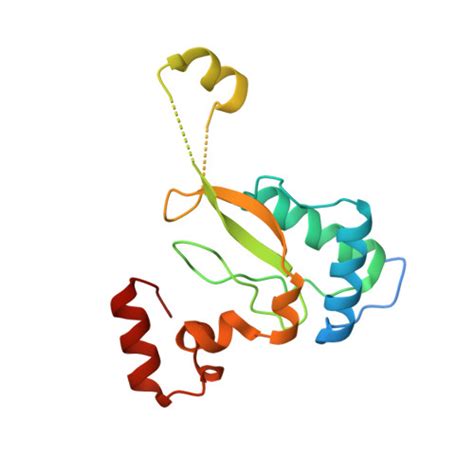 RCSB PDB 6K6M Crystal Structure Of HIV 2 Nef Protein