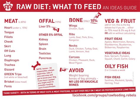 Raw feeding Dogs - Starter Guide - Rawfeeding Rebels