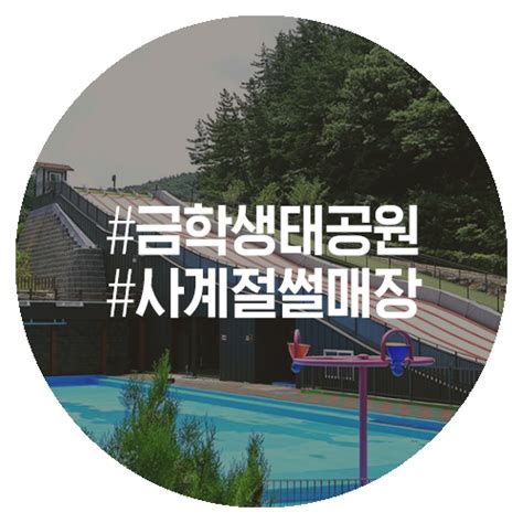 여름방학 가족나들이에는 금학생태공원과 사계절썰매장 공주 가볼만한곳 공주여행 공주산림휴양마을 네이버 블로그