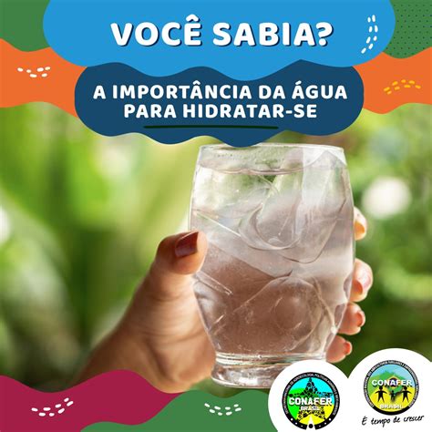 La Importancia Del Agua Para Hidratarte CONAFER