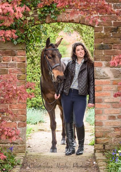 Equine Portraits Colour Christopher Hughes Photography