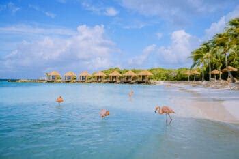 20 Best Resorts in Aruba for an Unforgettable Vacation