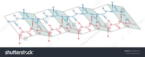 Proteins Large Biomolecules Macromolecules Consisting One Stock Vector