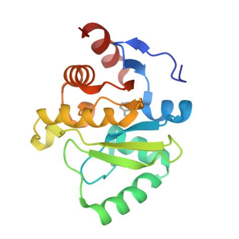 RCSB PDB 5RT7 PanDDA Analysis Group Deposition Crystal Structure