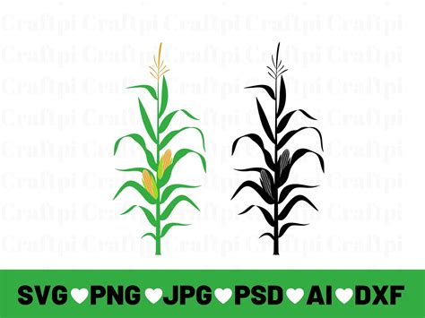 Corn Stalk Svg Corn Stalk Cut Files For Cricut Corn Stalk Etsy UK