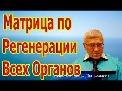 Редкая и Единственная Матрица по Регенерации Всех Органов. - YouTube ...