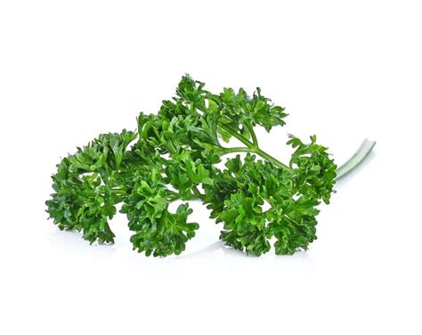 Premium Photo Parsley Fresh Isolated On White